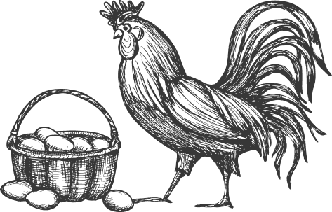 Meaty Days | Selected | Antibiotics | Chicken | Feed